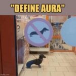 define aura-the-absurd-new-meme-making-everyone-a-vibe-expert