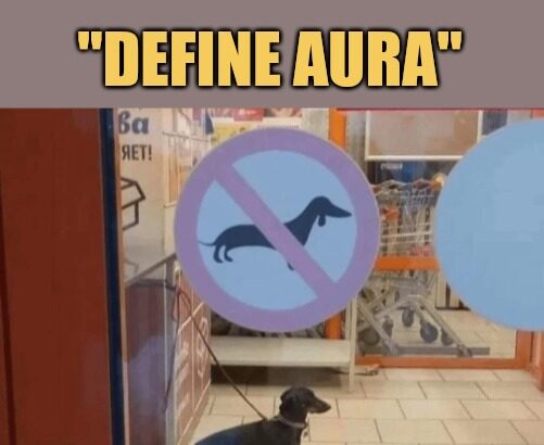 define aura-the-absurd-new-meme-making-everyone-a-vibe-expert