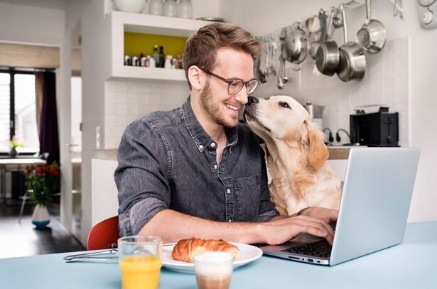 funny pet videos