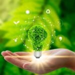sustainable business trends