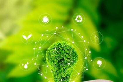 sustainable business trends