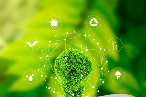 sustainable business trends