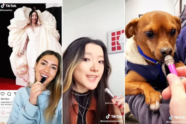 Are Mini Mic Interviews the Best Thing on TikTok?