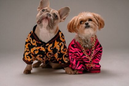 Celebrity Pets With More Followers Than You