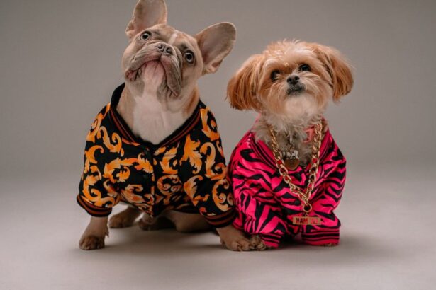 Celebrity Pets With More Followers Than You