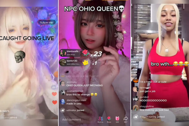 NPC streamers, TikTok AI, viral TikTok trends