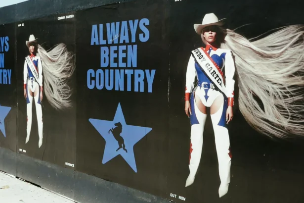 cowboy carter beyonce country cool