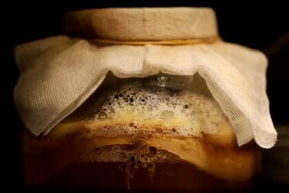 fermented food trend, gut health, fashion inspiration