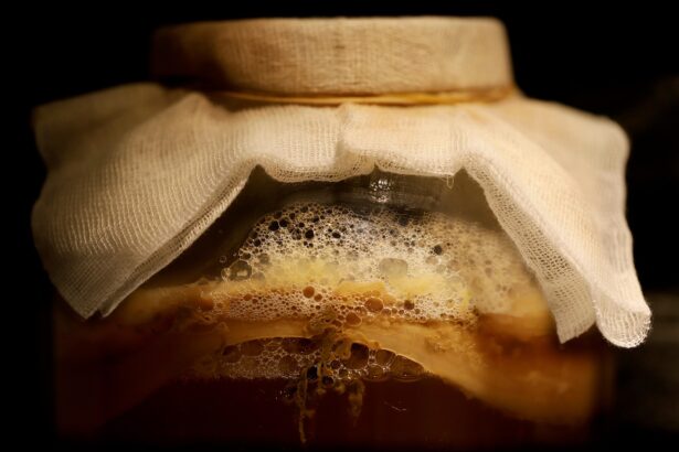 fermented food trend, gut health, fashion inspiration