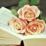 silent-book-club,-reading-trends,-tiktok-book-clubs