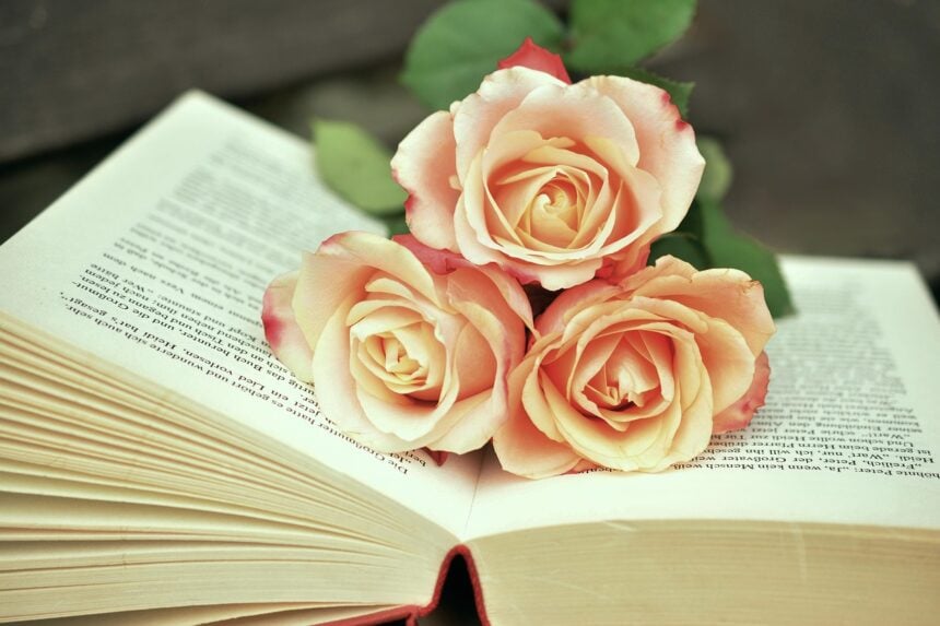 silent-book-club,-reading-trends,-tiktok-book-clubs