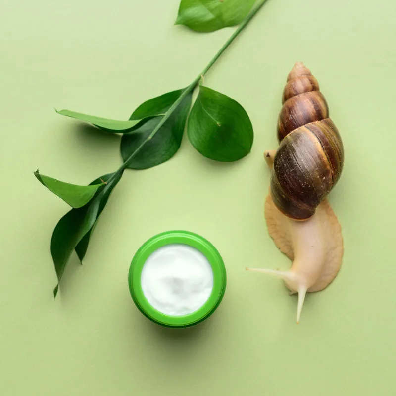 snail mucin skincare tiktok trend