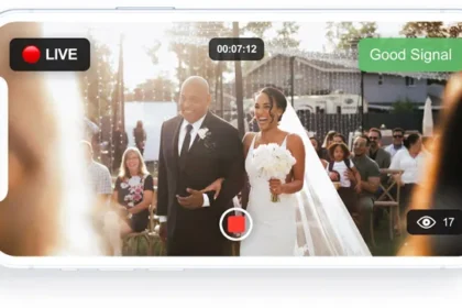 Mega Influencer Wedding