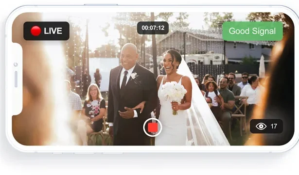 Mega Influencer Wedding