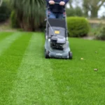 lawn care side hustle