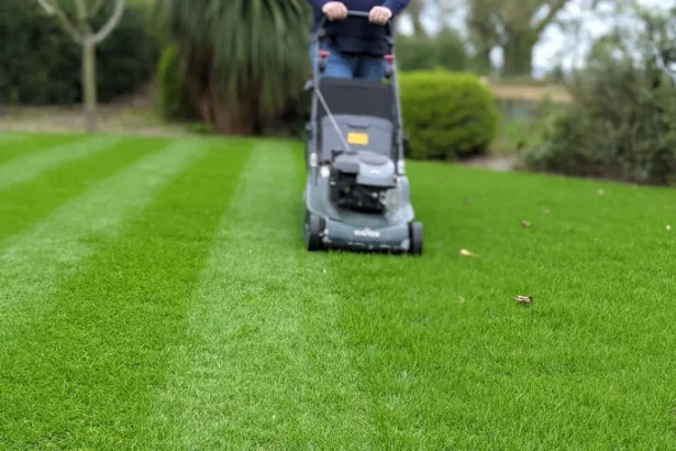 lawn care side hustle