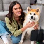 pets rock trend