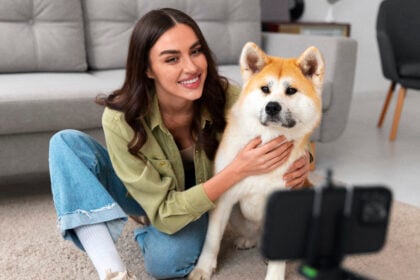 pets rock trend
