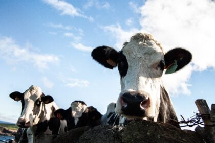 Regenerative Agriculture
