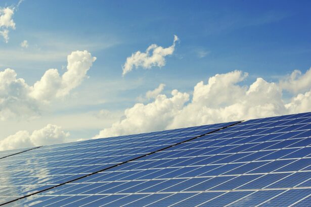 Community Solar Gardens Sell Out in Minutes: How One County Did It | BigTrending