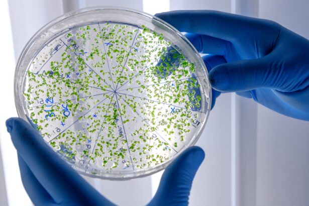 beneficial microbes